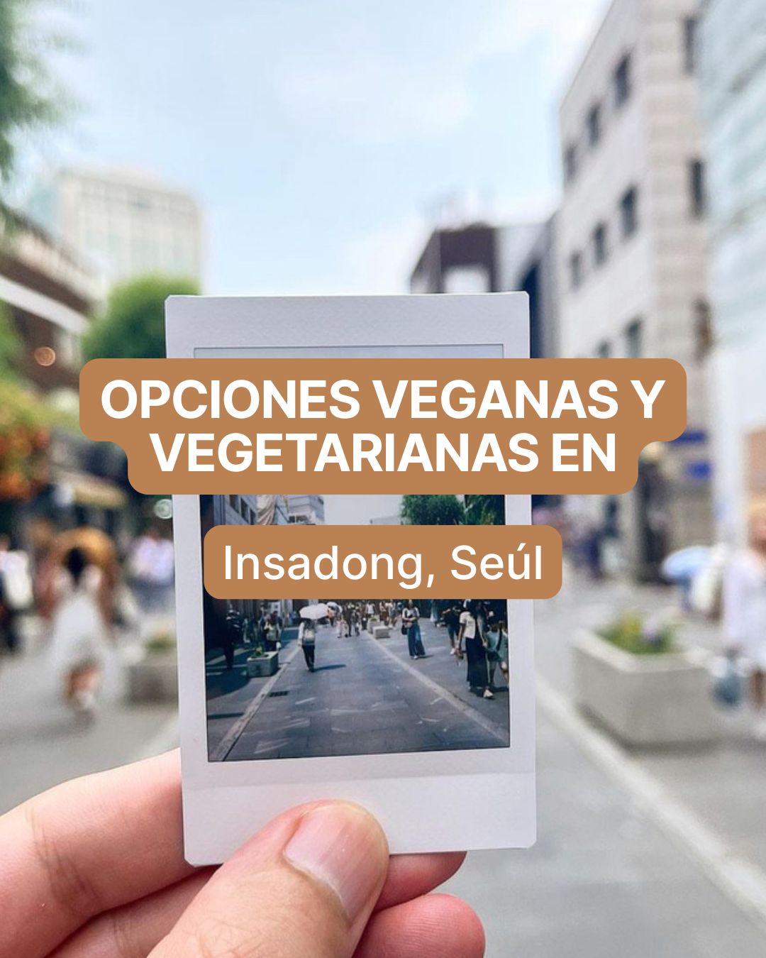 Guía vegetariana de Insadong: dónde comer en el barrio más tradicional de Seúl